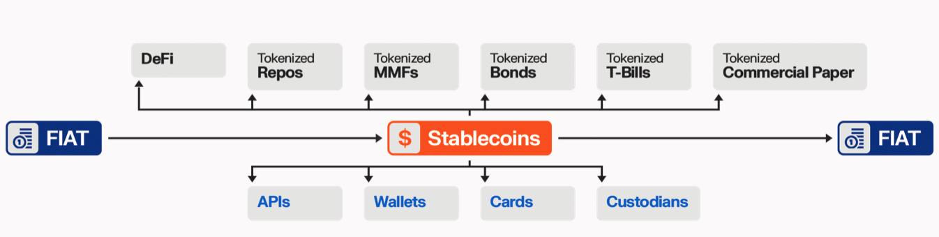 The graph showing the potential use cases available for users after converting their FIAT currency into Stablecoins.