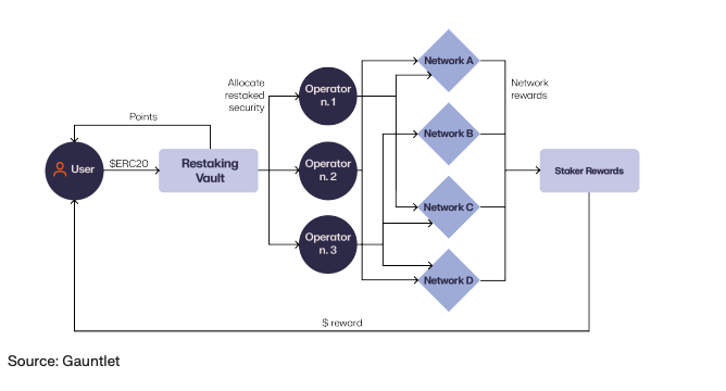 The graph shows the schematics of the system of funds deployment into Discretionary Onchain Strategies